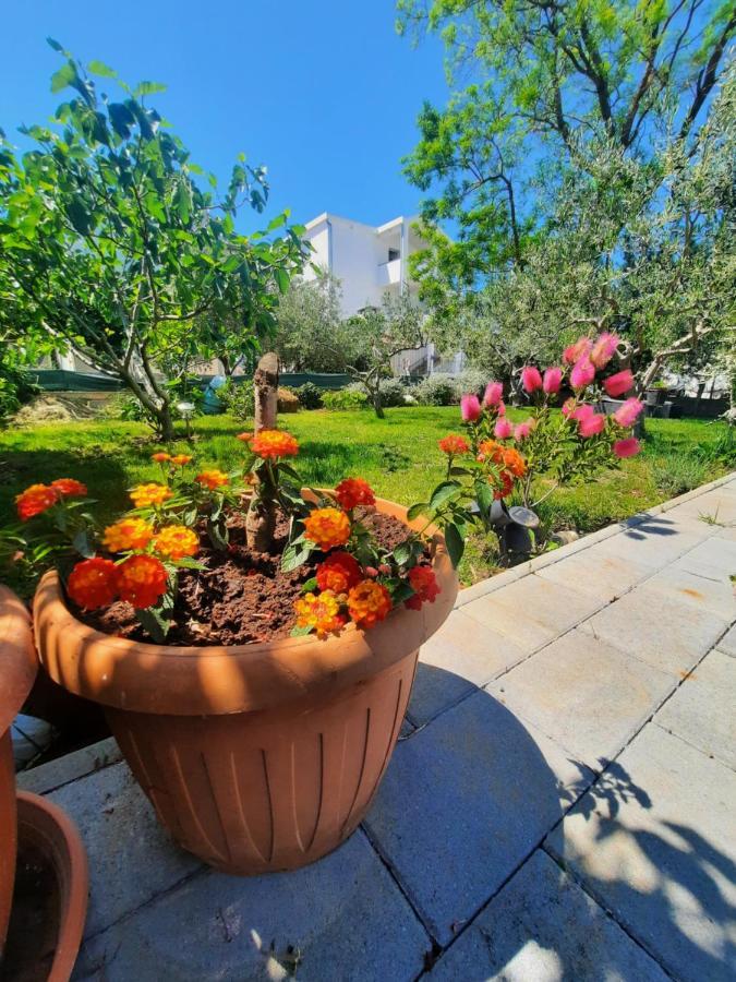 Apartment Noa'S Garden 比比涅 外观 照片