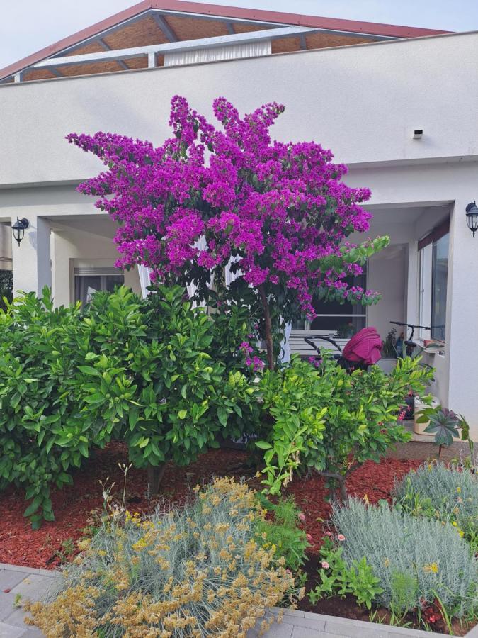 Apartment Noa'S Garden 比比涅 外观 照片